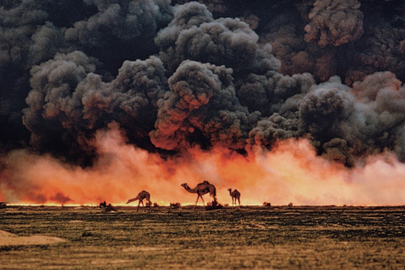 Zoufalství velbloudů během války v Zálivu