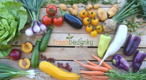 6. FreshBedynky.cz – 0,3 procenta