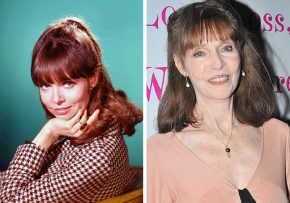 Barbara Feldon