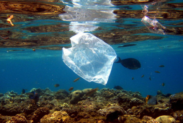 Velké množství plastu končí v oceánu.