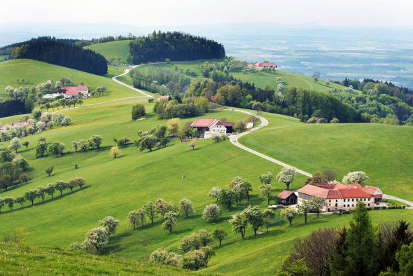 1. Rakousko – 20,3 procenta zemědělské půdy