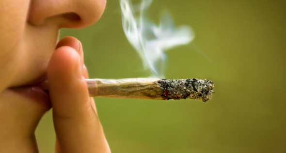 14,5 let je průměrný věk první zkušenosti s marihuanou