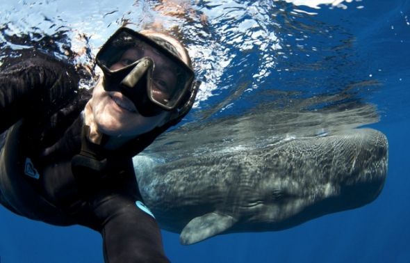 Selfie s velrybou