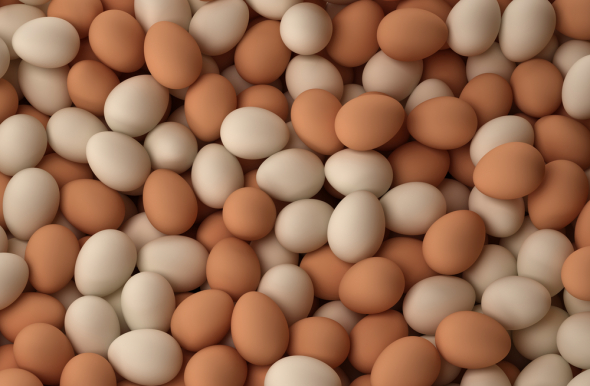 3. Na přípravu snídaní se loni spotřebovalo 4,5 milionů vajec.