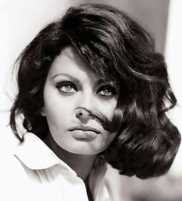 „Sex-appeal je z padesáti procent to, co máte, a z padesáti procent to, co si lidé myslí, že máte.“ Sophia Loren 