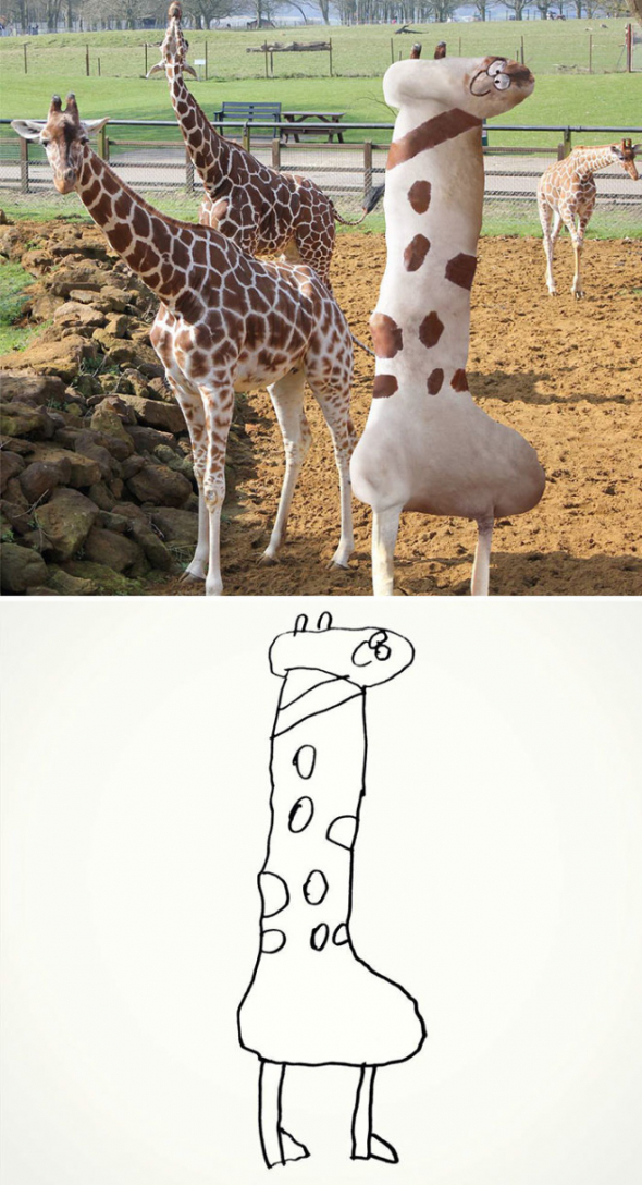 5. A žirafu... 