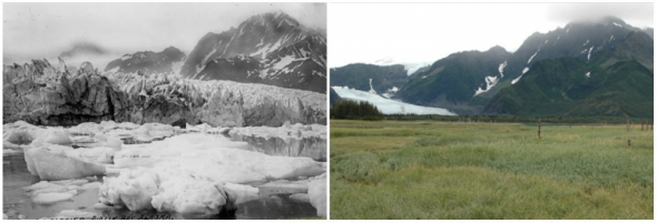 Ledovec Pedersen na Aljašce. Vlevo foto z roku 1917 a vpravo z roku 2005.