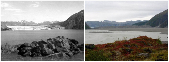 Ledovec Carroll na Alajšce. Vlevo foto z roku 1906 a vpravo z roku 2003.