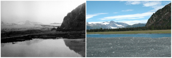 Medvědí ledovec na Aljašce. Vlevo foto z roku 1909 a vpravo z roku 2005.