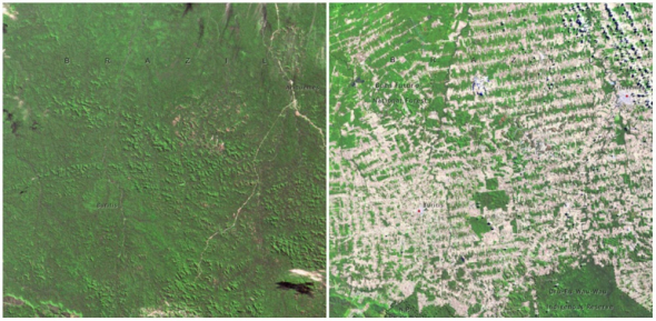 Tropický deštný prales v regionu Rondonia v Brazílii. Vlevo foto z roku 1975 a vpravo z roku 2009.