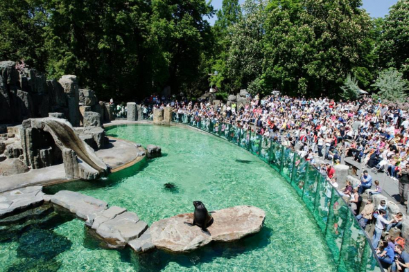 2. Zoologická zahrada Praha - 1 382 200 návštěvníků za rok