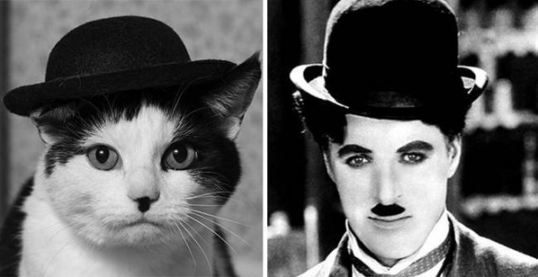 Jestlipak je micina stejně komická jako Charlie Chaplin?